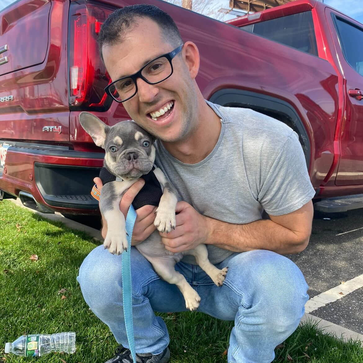 French Bulldog Puppy with Pedigree