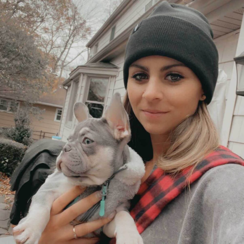 French Bulldog puppy at home with family
